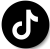 TikTok Icon